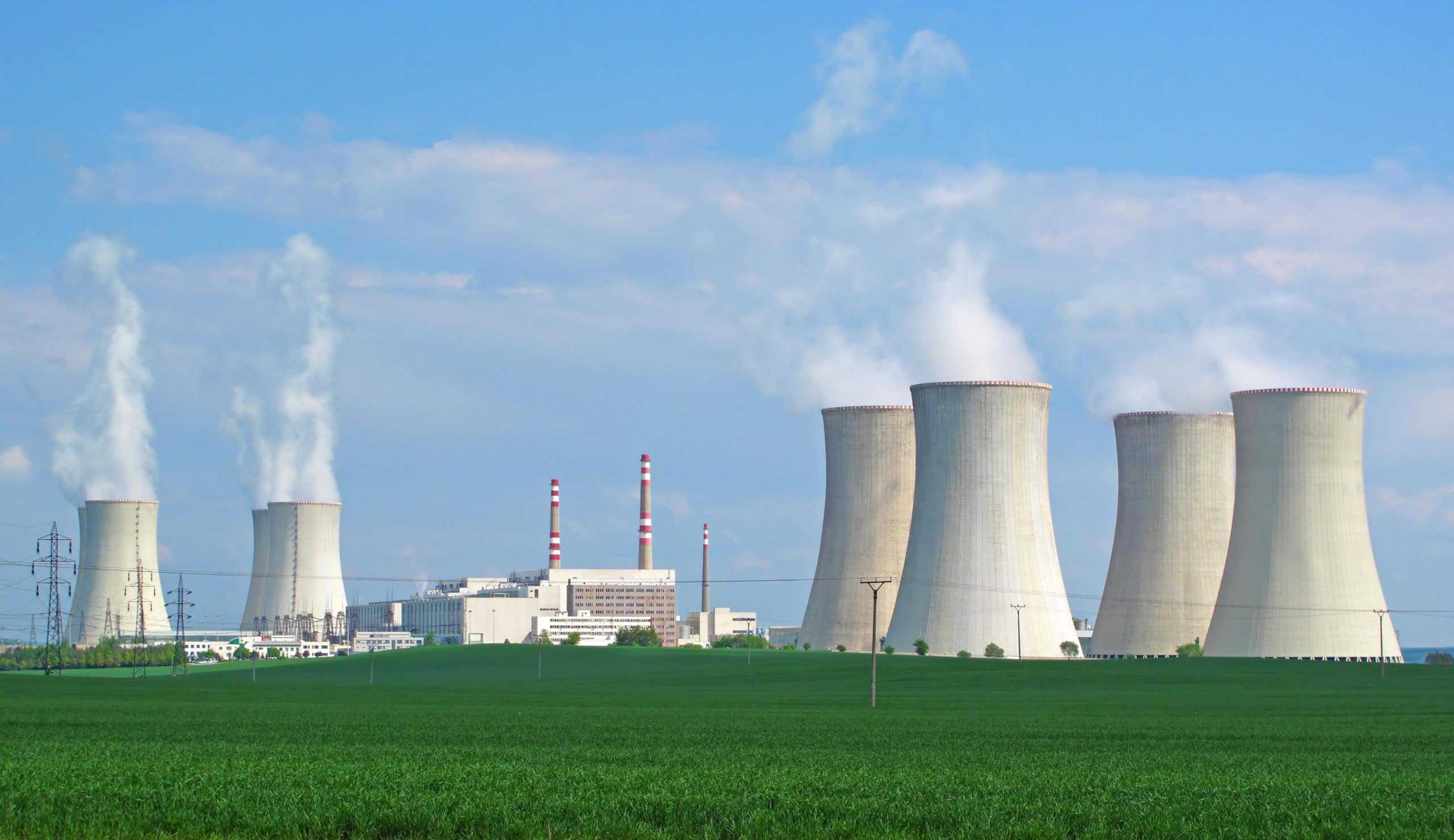 Nuclear power plant reactors