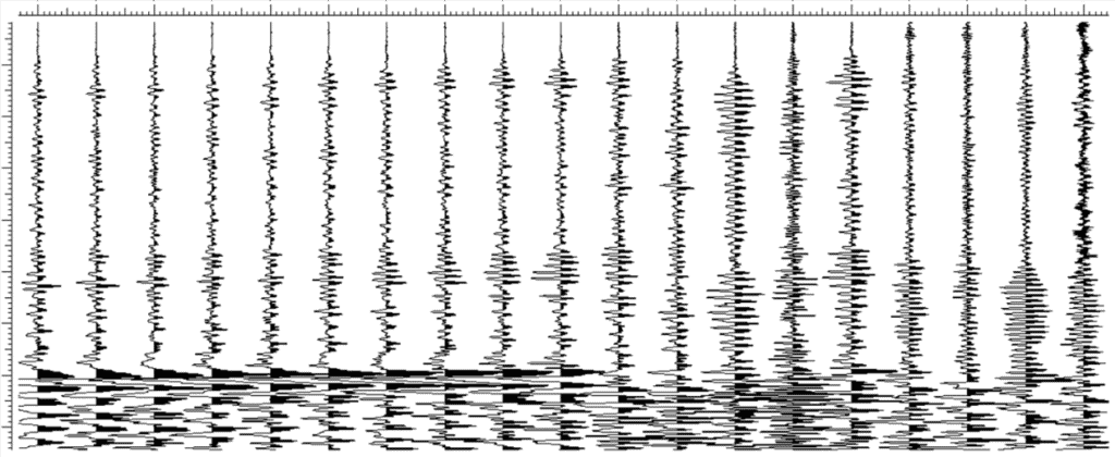Seismic plot of earthquake