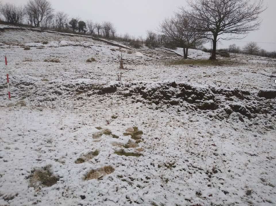 Hollin Hill UK Landslide